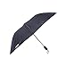 Fendo 2 fold black color UV Protection umbrella RS.374.00
