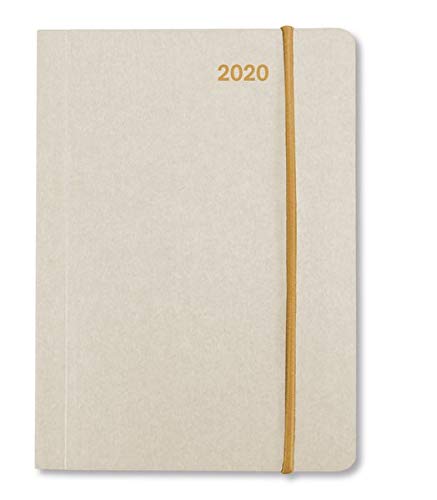 Télécharger Mini Flexi Diary EarthLine SAND 2020 PDF