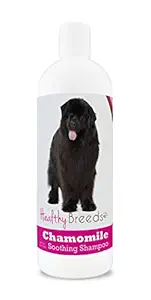 Healthy Breeds Chamomile Dog Shampoo & Conditioner with Oatmeal & Aloe for Newfoundland - Over 200 Breeds - 8 oz - Gentle for Dry Itchy Skin - Safe with Flea and Tick Topicals