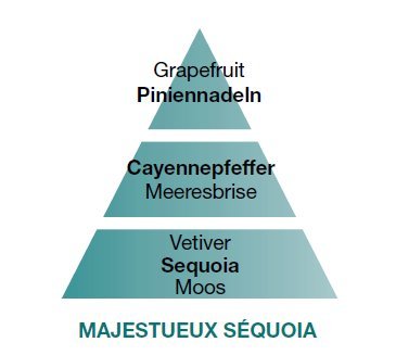 Triopack Die Frischen - 9