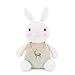 Produktbild Gefüllte Plüsch Puppen,DoraMe Tierpuppen Schöne Plüsch Süßen Bunny Sammlung Spielzeug Ostern Geschenk Geschichtenerzählen Baby Jungen Mädchen Playmate (B, 28cm/11.0 inches)