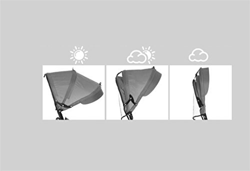 Children's bike Child Indoor Outdoor Small Tricycle Bicycle Boy's Bike Girl's Bike For 7 Months -6 Year Old Baby Three Wheels Trolley With Awning, Solid Rubber Tires/Rotating Seat/Rear Wheel Double Brake Baby trolley ( Color : #1 )