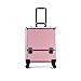 Produktbild Hand-LKW DELLT@ 2 in 1 Trolley Kosmetik Fall/Rosa Universalrad Große Kapazität Schönheitssalons Tattoo Maniküre Make-up Box Reise Make-up Fall