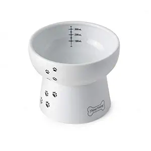 Necoichi Raised Dog Water Bowl