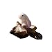 Produktbild Junlinto, Miniatur Harz Kaninchen Boot Kohl DIY Micro Garten Pflanze Blumentopf Bonsai Puppenhaus Desktop Dekorationen 1