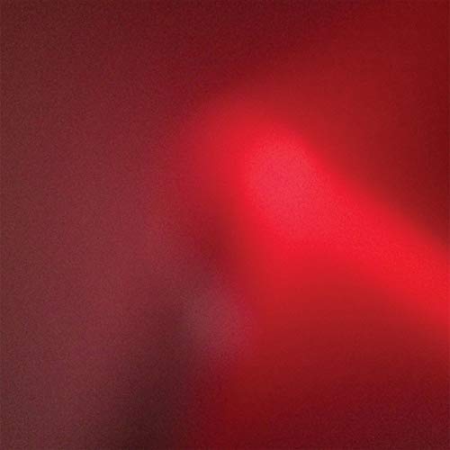 The Incessant [Vinilo]