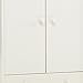 Steens 2-Door/1-Drawer Low Kids Wardrobe, White
