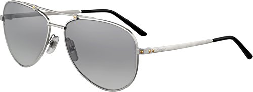 Price comparison product image cartier santos 61 / 16 ESW00049 platinum