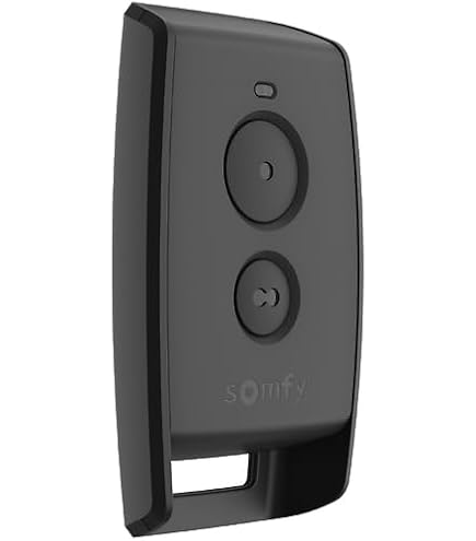 Somfy 1841026C - Keytis 2-kanaals RTS afstandsbediening | Voor het aansturen van 2 RTS poort- en garagedeurmotoren