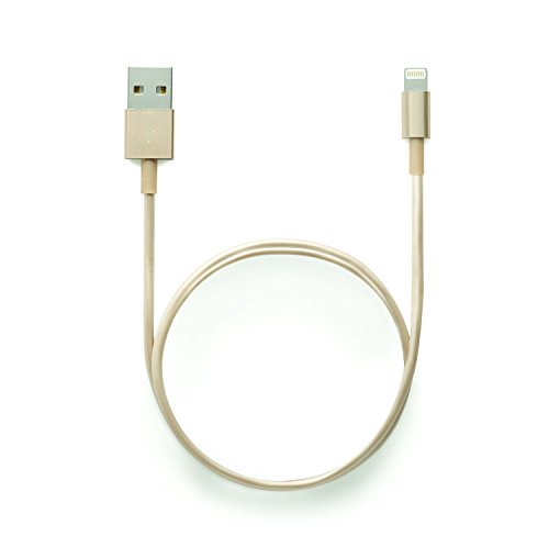 Original iProtect 2in1 SET mit USB Ladekabel / Datenkabel und Netzteil für Apple iPhone 7, 7 Plus, iPhone SE, 5 5s 5c, iPhone 6, iPhone 6s, 6 Plus, iPod Touch 5G, iPad mini, iPad mini 2, iPad 4, iPad Air, iPad Air 2, iPod Nano 7G in Gold - 3