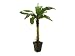 Produktbild Bananenbaum 9 Blätter 220cm, Kunstpflanze