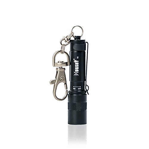 Paragala Aluminum Hand LED Taschenlampen Mini CREE LED Taschenlampe Camping Lampe IPX7 wasserdichte Schlüsselanhänger Taschenlampe für Wandern Jagd Backpacking Angeln und Grill,Batteriebetrieben (Black)