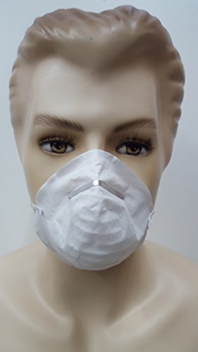 Preisvergleich Produktbild G105 Staubschutzmaske 10er Pack