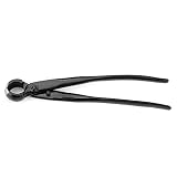 perilla planta comprar ✔Quita las ramas dejando un pequeño corte con sangría que cura con poca o ninguna cicatriz