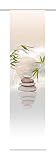 Home fashion 87406-711 Benessa - Panel japonés con impresión digital (con rieles y sujeciones, 245 x 60 cm), diseño de naturaleza