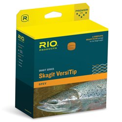 Preisvergleich Produktbild Rio Skagit Max versitip, 450 gr
