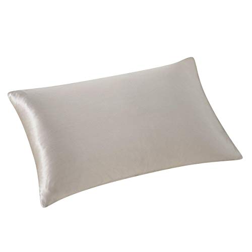 ALASKA BEAR - Funda de Almohada de Seda Natural, hipoalergénico, 19 Momme, 600 Hilos 100% de Seda, tamaño Queen con Cremallera Oculta, 50x75 cm,1 Unidad, Gris-Plata