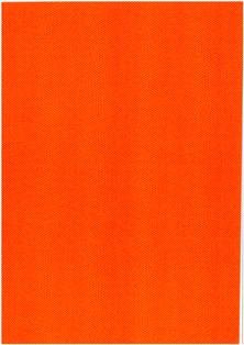 Preisvergleich Produktbild NEPTUN Fashion Design manta ray orange (Bügelfolie), 1 DIN A4