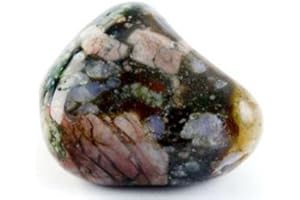 GEOFOSSILS Que Sera Stone Tumble Stone 25-30mm (5)