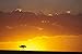 Produktbild Artland Qualitätsbilder I Wandbilder Selbstklebende Premium Wandfolie 90 x 60 cm Landschaften Afrika Foto Orange C8LR Sonnenuntergang in der Masai Mara II