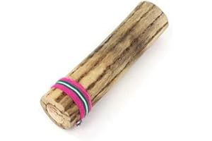 CARVED CULTURE Cactus Rainstick Rain Sound Effect Fair Trade From Chile (15cm)