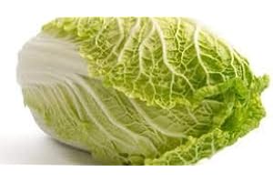 LIEFERFRUCHT Chinakohl frisch aus Deutschland oder Spanien