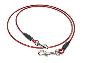 D/W Heavy Deuty Vinyl Covered 6 Foot Dog and Puppy Training Tie Out Cable (6) Feet Tether, Classic Red & White (6Ft)