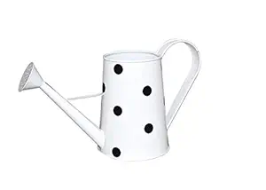 A S Handicrafts 2 Litre Metal Watering can for Plants | Garden Water can for Kids ! Water can