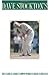 Produktbild Dave Stockton Golf Clinic [VHS]