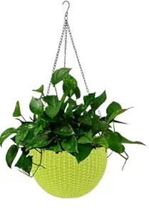 Delight Rattan Design Hanging Plastic Flower Pots Big (21 cm) with Metal Chain - 2 Green Pots