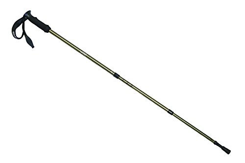 dd hiking pole