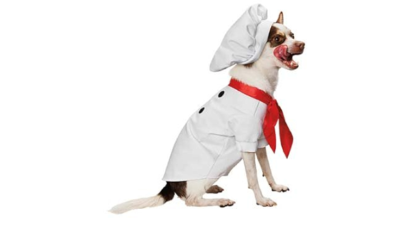 dog chef costume