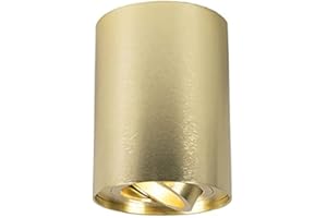 QAZQA - Modern Spot I Spotlight I Deckenspot I Deckenstrahler I Strahler I Lampe I Leuchte Gold I Messing I Messing dreh- und neigbar - Rondoo up I Wohnzimmer I Schlafzimmer - Aluminium Zylinder - LED