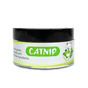 Emily Pets Natural Attractive Mint Fragrance Funny Playing Catnip Cats Natural Attractive Mint Catnip Pack of 1