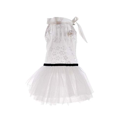 Preisvergleich Produktbild ZXCC Sommerkleid Dünnschliff Nette Prinzessin Rock Weißes Spitzenkleid Kleine Welpen Kleidung Für Teddy Bichon Hiromi Chihuahua (größe : XXL:47cm (Length))