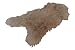 Produktbild Naturasan Island Lammfell Schaffell, Spitzenqualität, Lammfell-Teppich ökologisch gegerbt, Naturfell Vorleger Farbe Milchkaffee/Beige (100-110 cm)