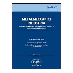 Metalmeccanici industria. Addetti all'industria metalmeccanica privata e alla gestion
