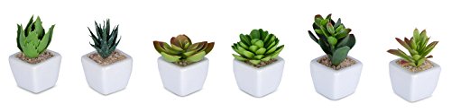 6er Set Sukkulenten B x H 4,5x9cm Kunstpflanze Grün Weiß Kunstblume Deko - 2