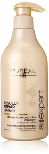 Expert Absolut Repair Lipidium 500 Ml