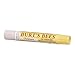 Burt's Bees Champagne Lip Shimmer
