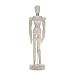 Produktbild JoyFan Mini-Mannequin-Modell, massives Holz, Unisex, Holz, Wood Color, 20 cm