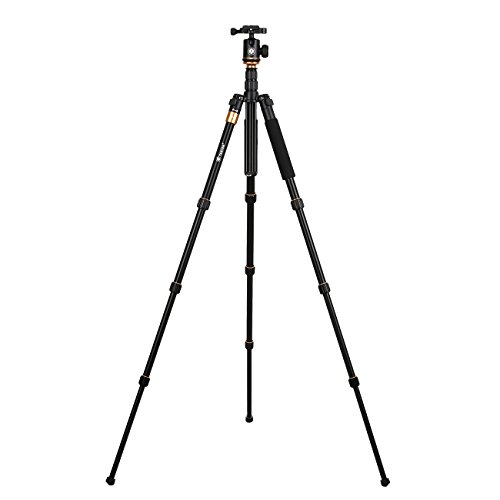 TARION Q999S trípode portátiles multifuncionales (plegado 35cm de longitud) con monopie Pro Kit de cámara 4 secciones para todos los tipos de cámara SLR / cámara digital, etc.