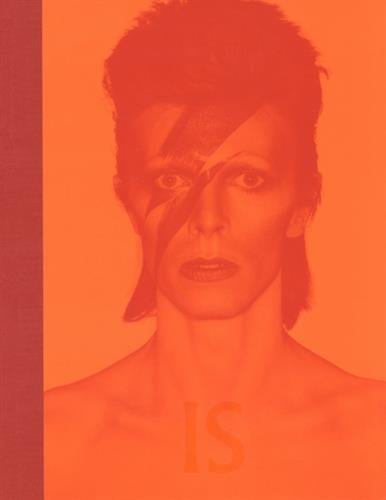 Download David Bowie is - édition française