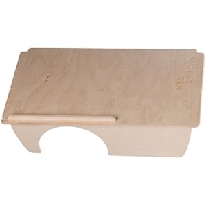 Ebene + Hundehütte Holz Neo