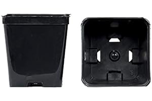 GEOSISM & NATURE Vasi quadrati colore nero 8x8x9 cm (n.10 pezzi), ditta Arca