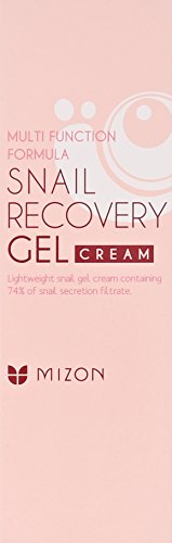 Mizon – Snail Recovery Gel Creme mit Collagen – Anti Falten Schneckengel mit EGF Komplex - 3
