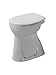 Produktbild Duravit Stand WC (ohne Deckel) Duraplus Sudan 46, 5cm + 100cm pergamon 212014700, 212014700