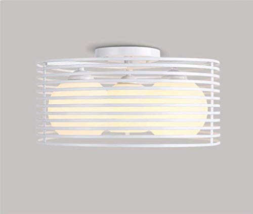 Ceiling Light, Home Living Room Bedroom Ceiling Light, Courtesy Light, Simple Modern Sustainable Irons of Restaurant Lounge Invisible American Creative Led-Irons Invisible Barrier-Of-The-Art Bird'S