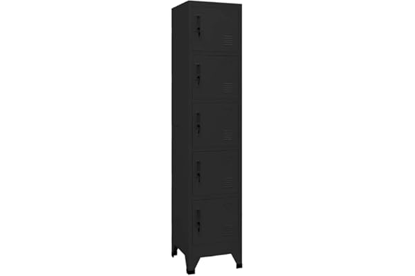vidaXL Armoire à Casiers Classeur Meuble de Rangement d'Equipements de Sport Produits de Nettoyage Intérieur Bureau Noir 38x40x180 cm Acier