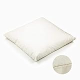 H&F Heimtextilien Kopfkissen 40x40 cm | Premium Federkissen, Innenkissen | Füllkissen, Füllung: 360g, Gänsedaunen/Gänsefedern | Sofakissen Creme | Dekokissen, Reisekissen H&F Heimtextilien Kopfkissen 40x40 cm | Premium Federkissen, Innenkissen | Füllkissen, Füllung: 360g, Gänsedaunen/Gänsefedern | Sofakissen Creme | Dekokissen, Reisekissen